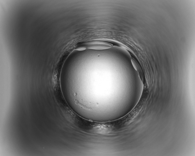 X0000096440611200801241400