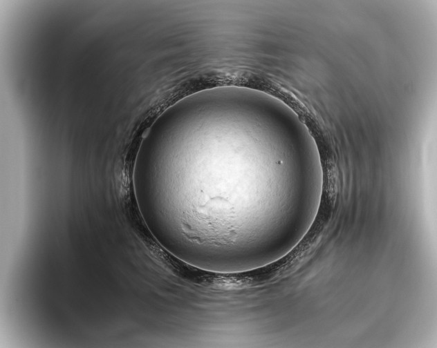 X0000096440613200801241400