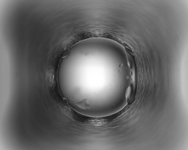 X0000096440615200801241400