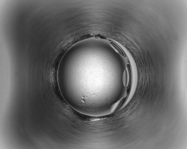 X0000096440616200801241400