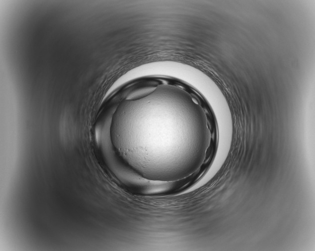 X0000096440617200801241400