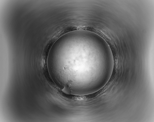 X0000096440618200801241400