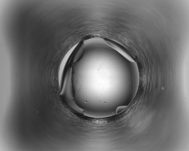 X0000096440619200801241400