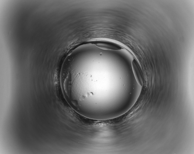 X0000096440620200801241400