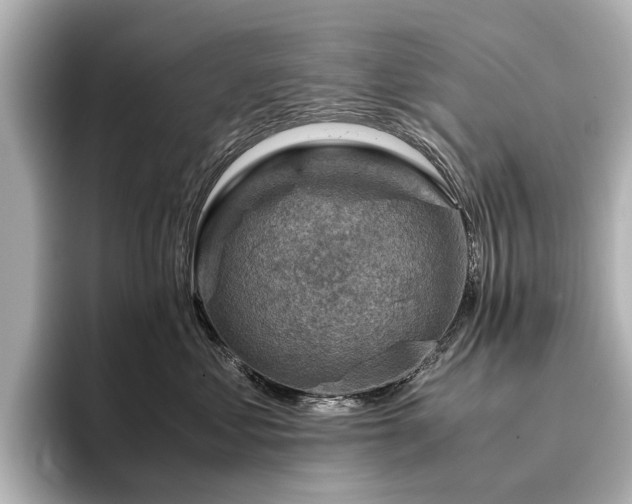 X0000096440621200801241400