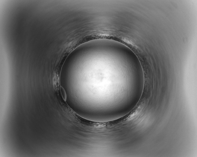 X0000096440624200801241400