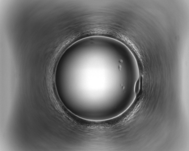 X0000096440625200801241359