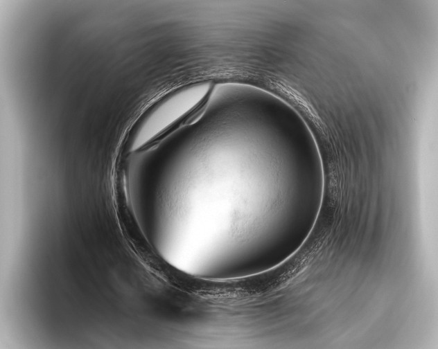 X0000096440626200801241359