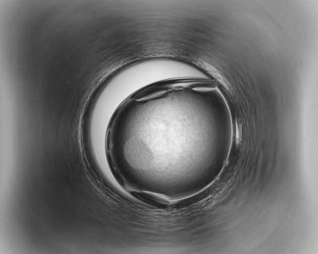 X0000096440627200801241359