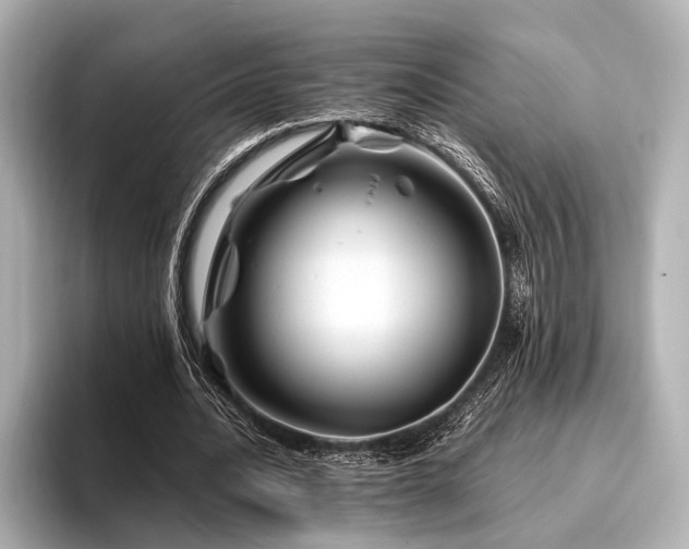 X0000096440628200801241359