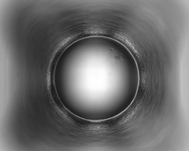 X0000096440629200801241359