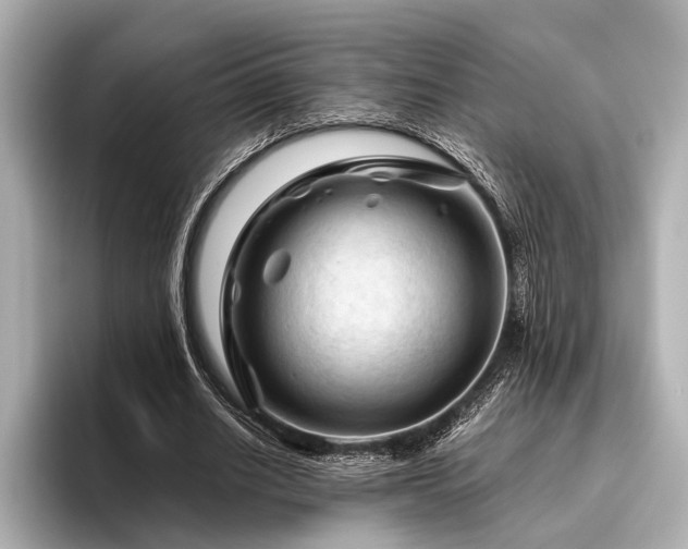 X0000096440630200801241359