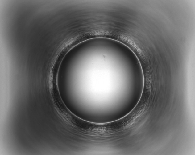 X0000096440631200801241359
