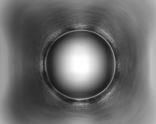 X0000096440633200801241359