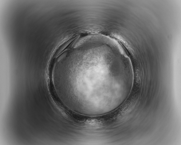 X0000096440634200801241359
