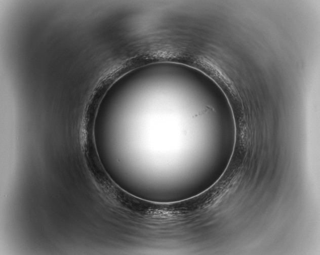 X0000096440635200801241359