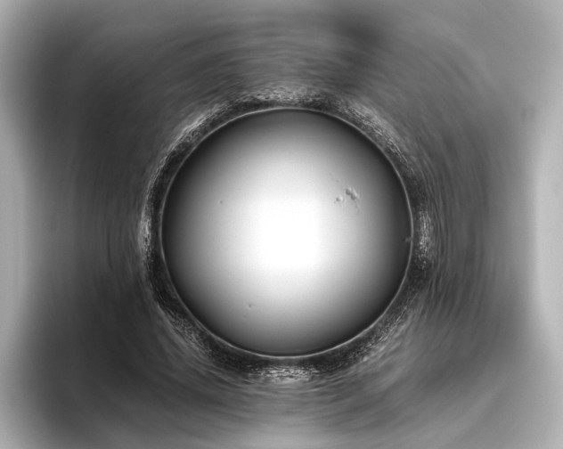X0000096440636200801241359
