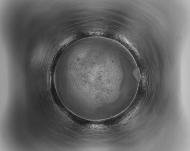 X0000096440637200801241359
