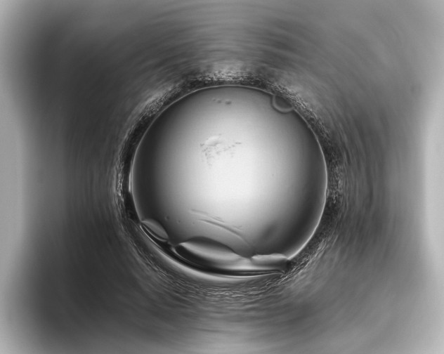 X0000096440640200801241359
