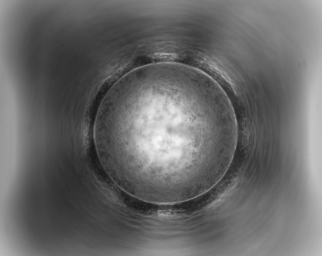 X0000096440641200801241359