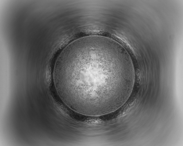 X0000096440642200801241359