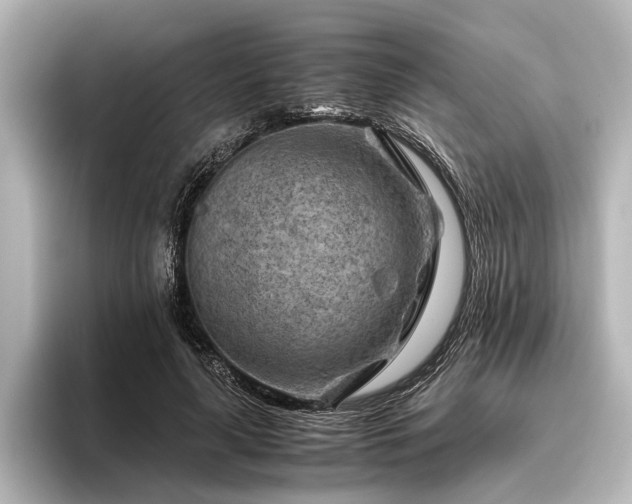 X0000096440643200801241359