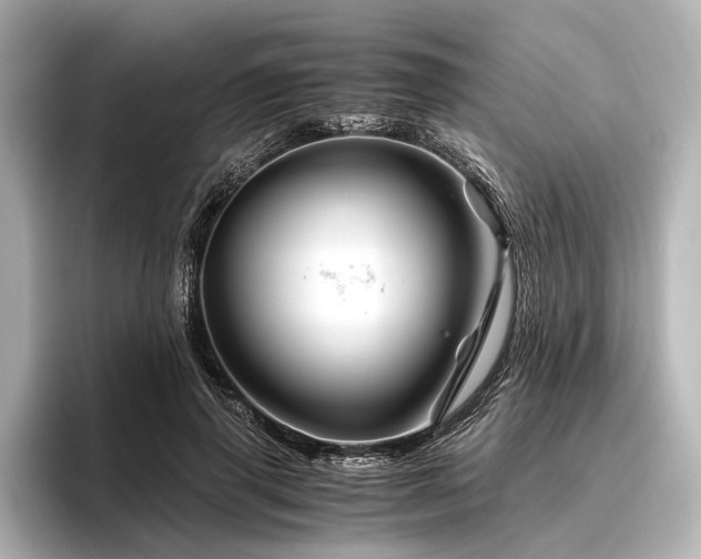 X0000096440645200801241359