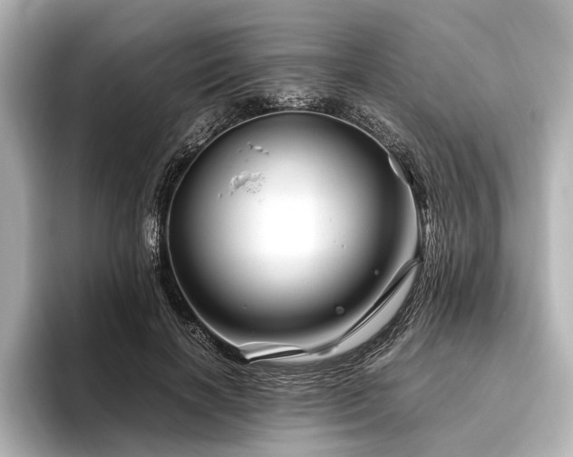 X0000096440646200801241359