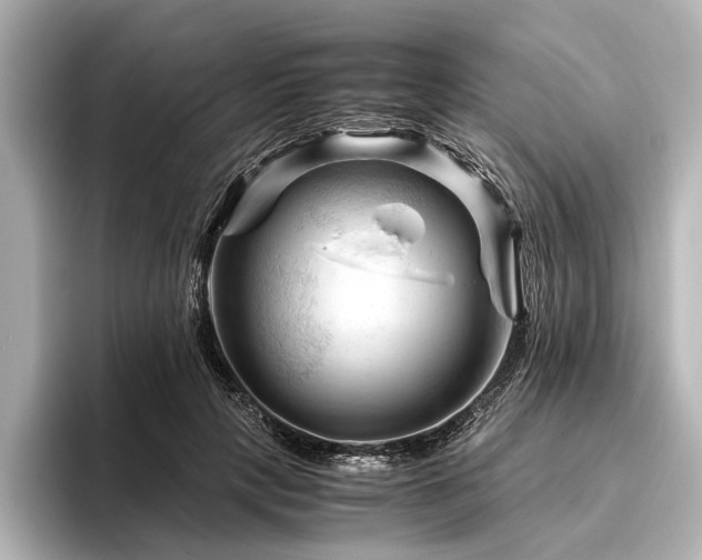 X0000096440649200801241359