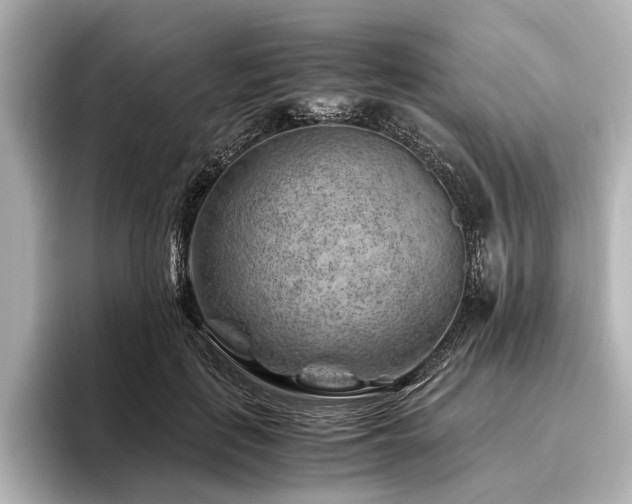 X0000096440651200801241359