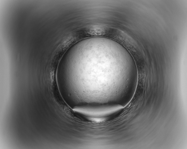 X0000096440652200801241359