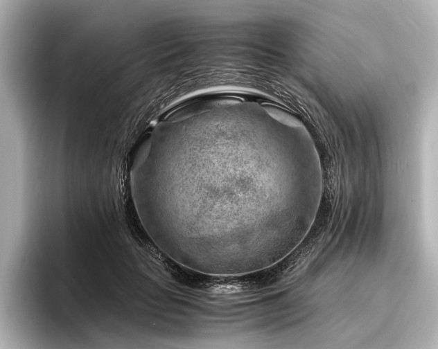 X0000096440653200801241359
