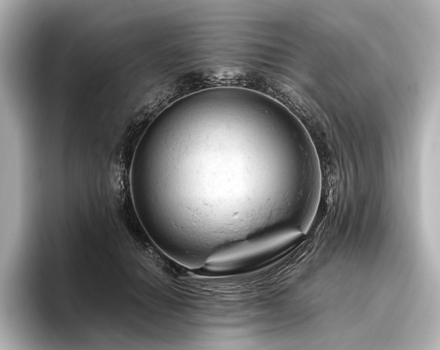 X0000096440654200801241359