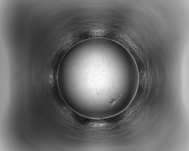 X0000096440655200801241359