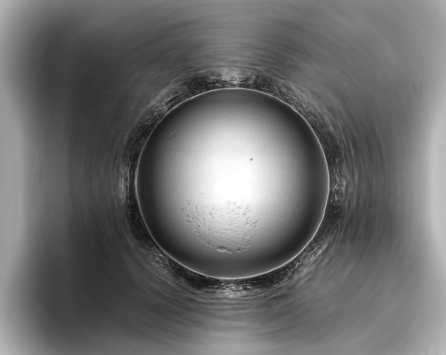 X0000096440656200801241359