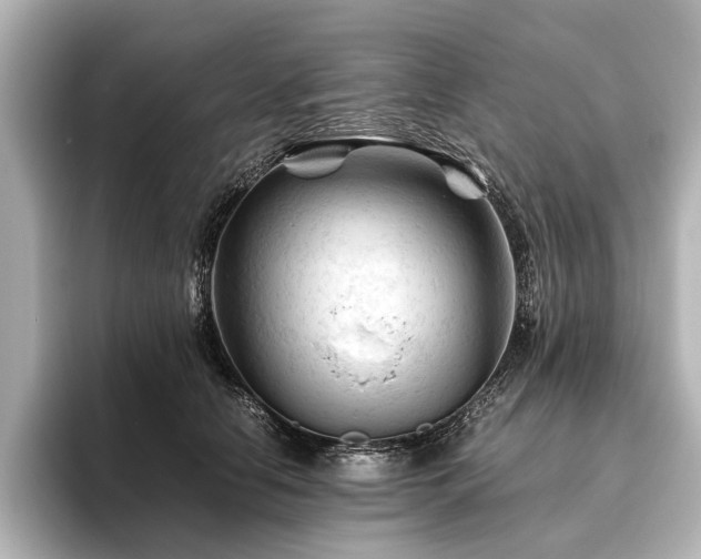 X0000096440658200801241359