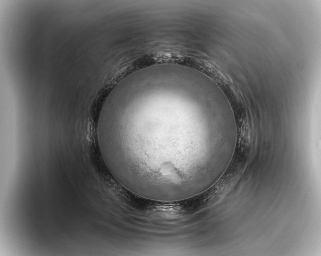 X0000096440659200801241359