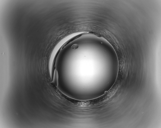 X0000096440660200801241359