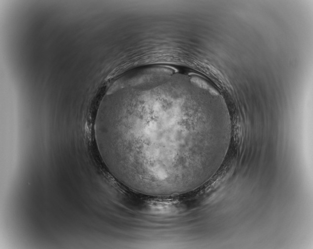 X0000096440661200801241359