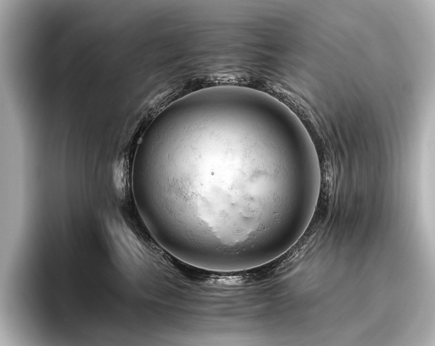 X0000096440665200801241400