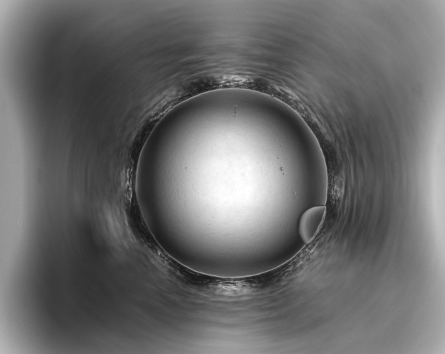 X0000096440666200801241400