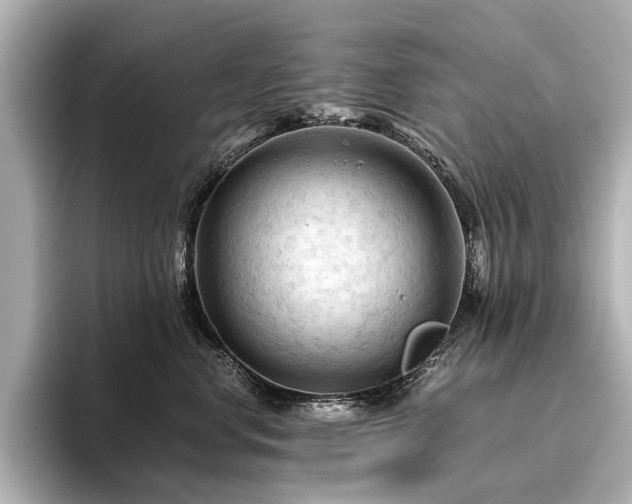 X0000096440668200801241400