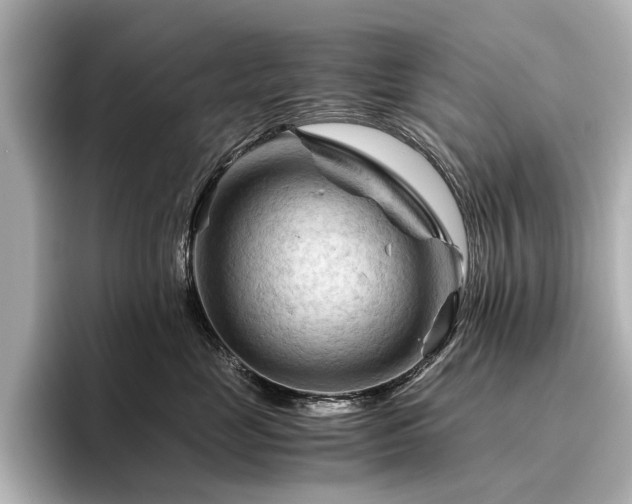 X0000096440669200801241400
