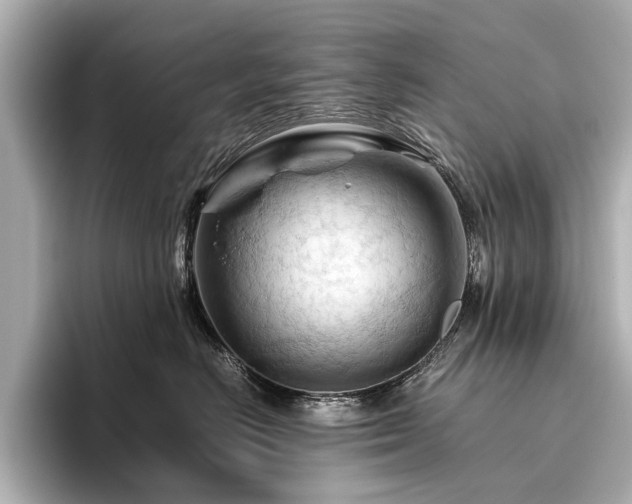 X0000096440670200801241400