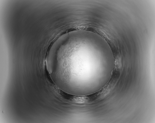 X0000096440671200801241400