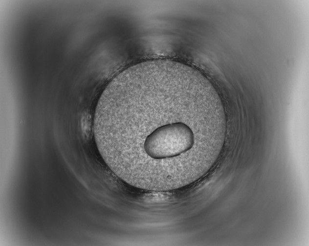 X0000096440672200801241400