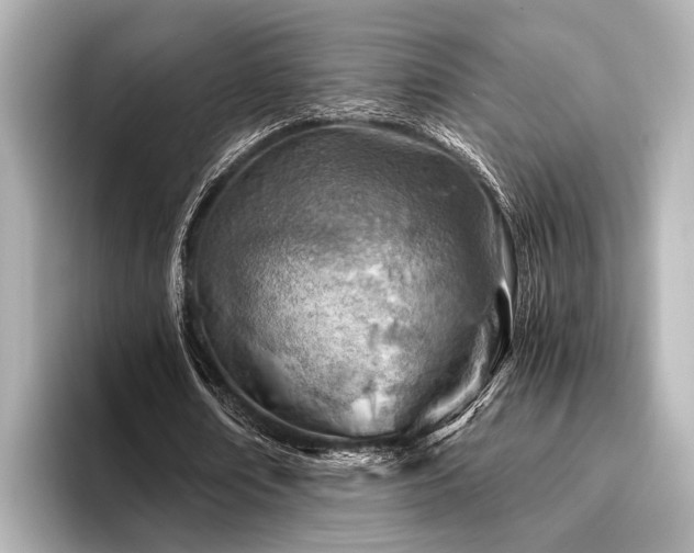X0000096440674200801241359