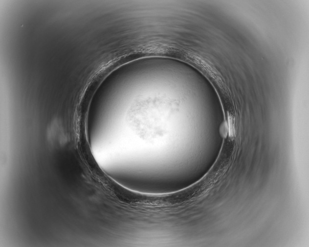 X0000096440675200801241359