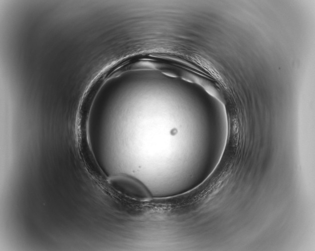 X0000096440676200801241359
