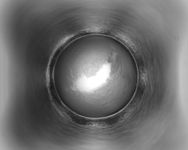 X0000096440678200801241359